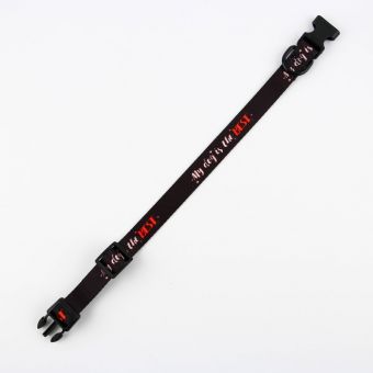 Ошейник My dog is the best, застёжка - фастекс, 2 см 25-40 см