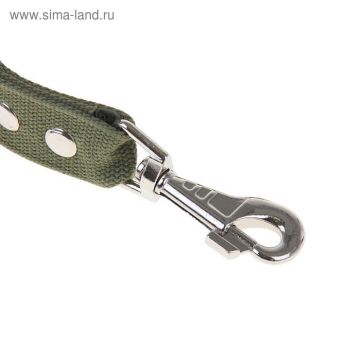 Поводок брезентовый 3 м х 3,5 см, тёмно-зелёный Поводок брезентовый 3 м х 3,5 см, тёмно-зелёный
