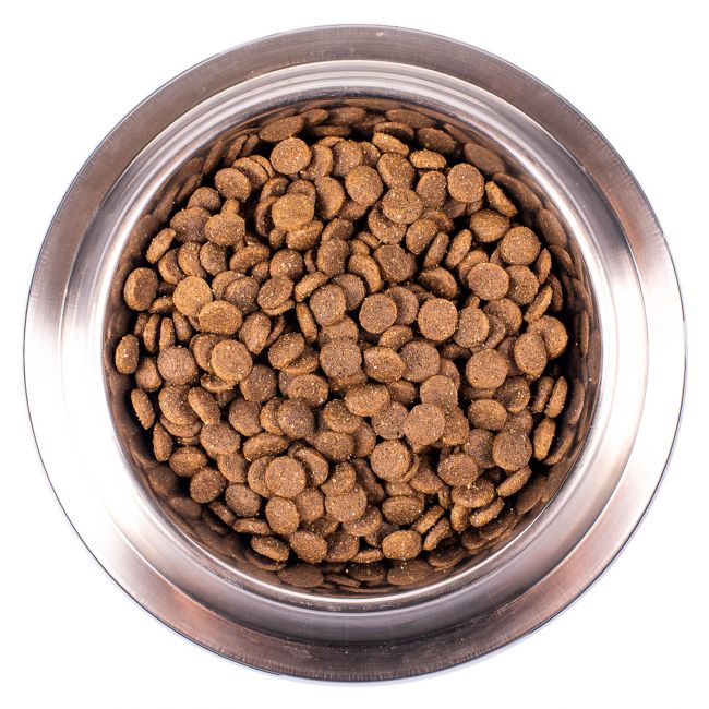 Сухой корм Monge Dog Speciality Line Puppy&Junior корм для щенков всех пород, из ягненка с рисом 12 кг Сухой корм Monge Dog Speciality Line Puppy&Junior корм для щенков всех пород, из ягненка с рисом 12 кг