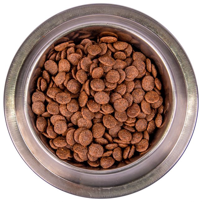 Сухой корм Monge Dog BWild LOW GRAIN для взрослых собак, низкозерновой, из мяса гуся 12 кг Сухой корм Monge Dog BWild LOW GRAIN для взрослых собак, низкозерновой, из мяса гуся 12 кг